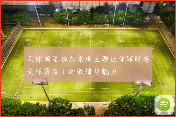 足球明星动态桌面主题让你随时感受绿茵场上的激情与魅力